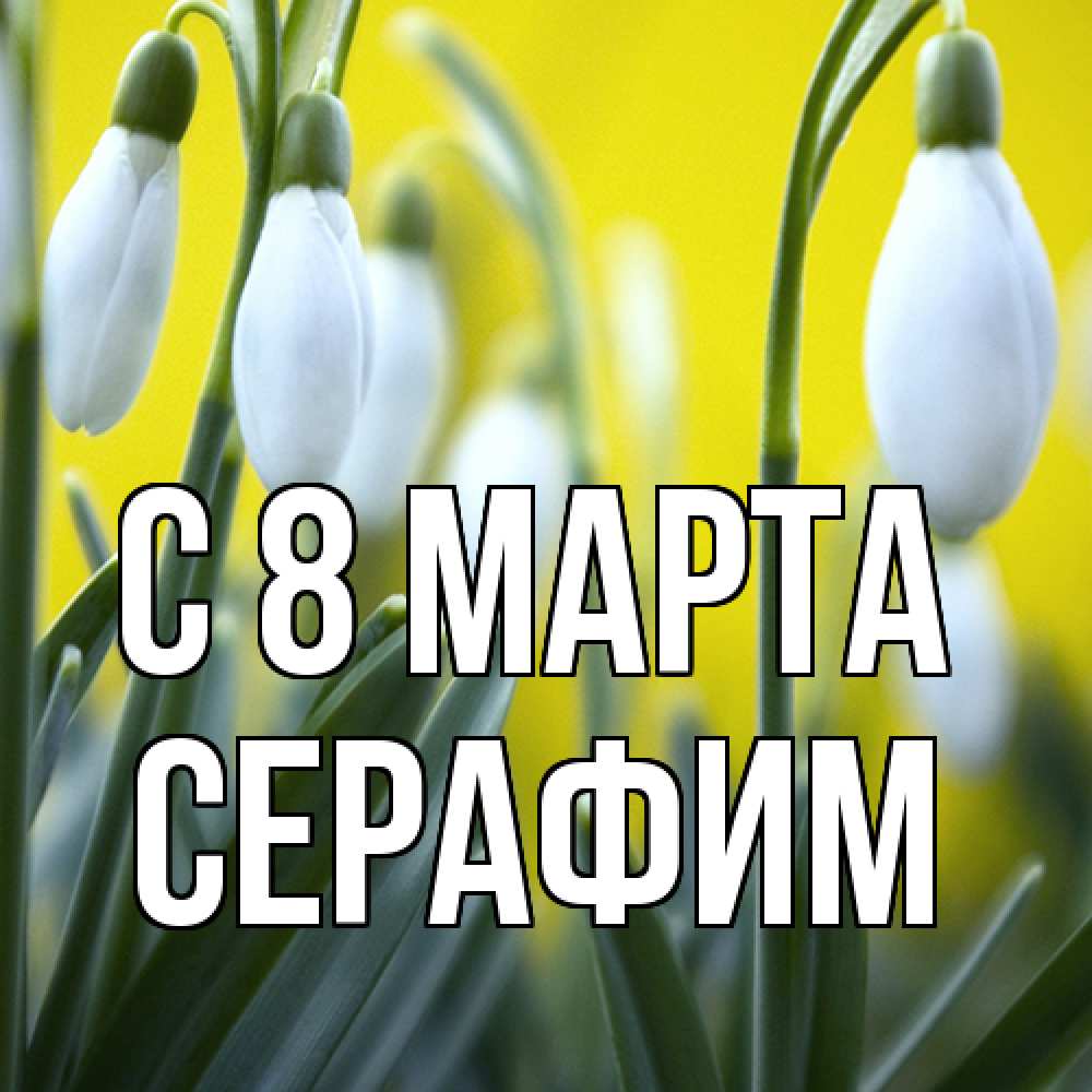 Открытка на каждый день с именем, Серафим C 8 МАРТА весенние цветы Прикольная открытка с пожеланием онлайн скачать бесплатно 