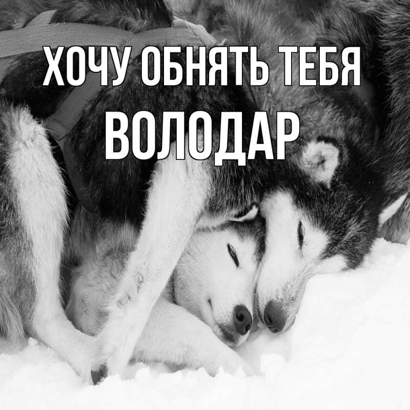 Картинка Хочу обнять тебя, Володар