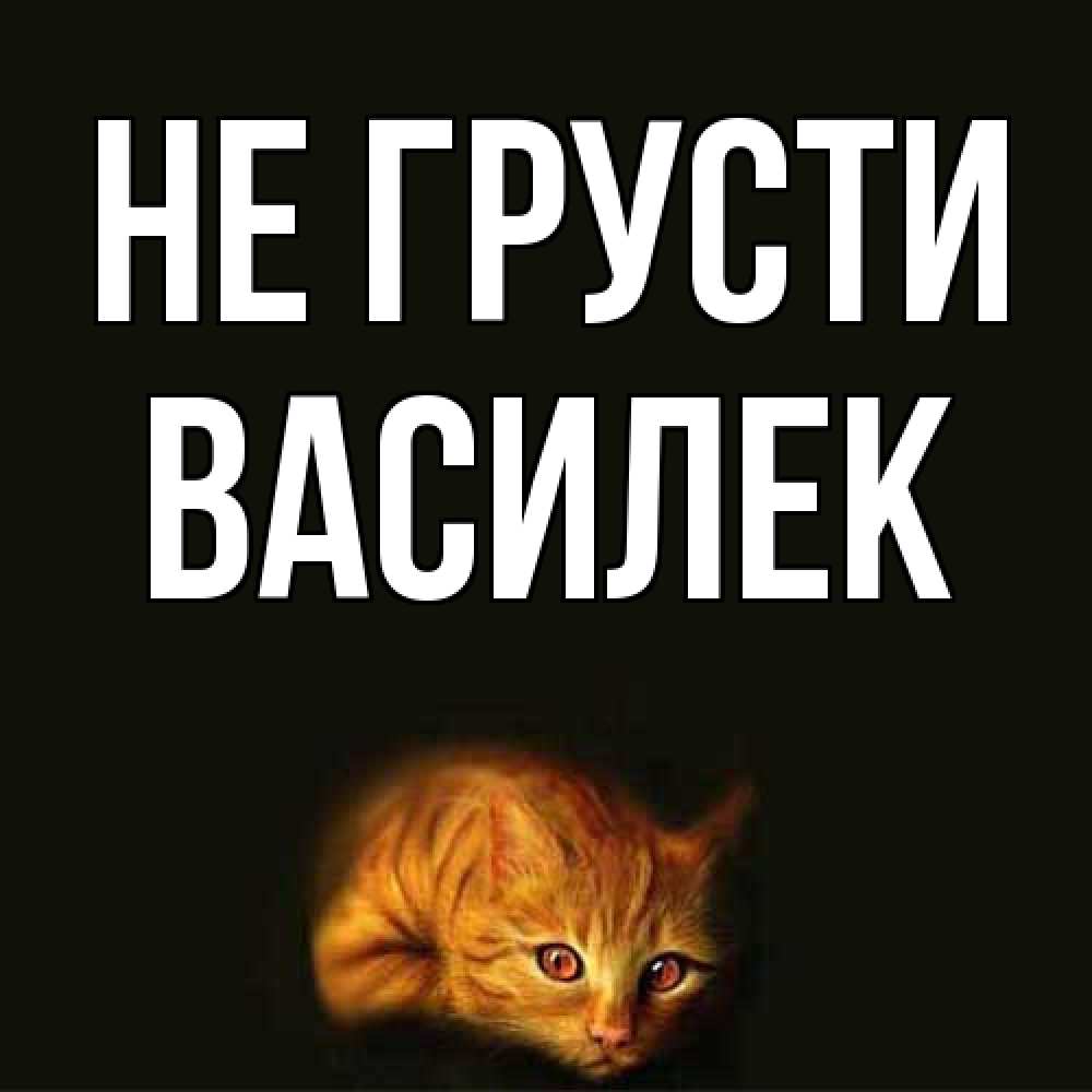 Открытка на каждый день с именем, василек Не грусти лежащий кот в темноте Прикольная открытка с пожеланием онлайн скачать бесплатно 