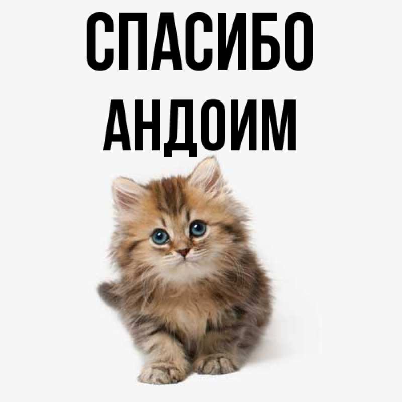 Картинка Спасибо, Андоим