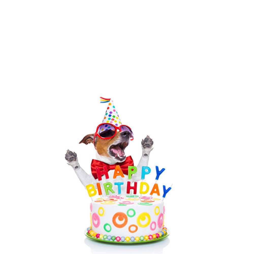 Открытка на каждый день с именем, Лев С днем рождения тортик Прикольная открытка с пожеланием онлайн скачать бесплатно 