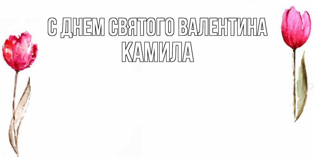 Открытка на каждый день с именем, Камила С днем Святого Валентина Открытки на день всех влюбленных с тюльпанами акварелью Прикольная открытка с пожеланием онлайн скачать бесплатно 