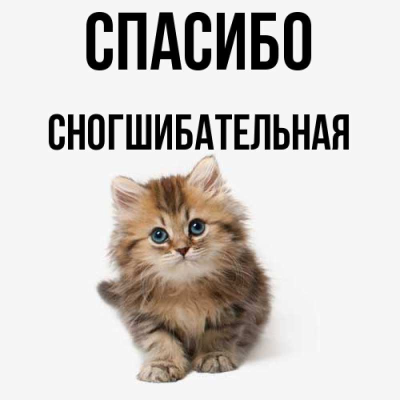 Картинка Спасибо, Сногшибательная