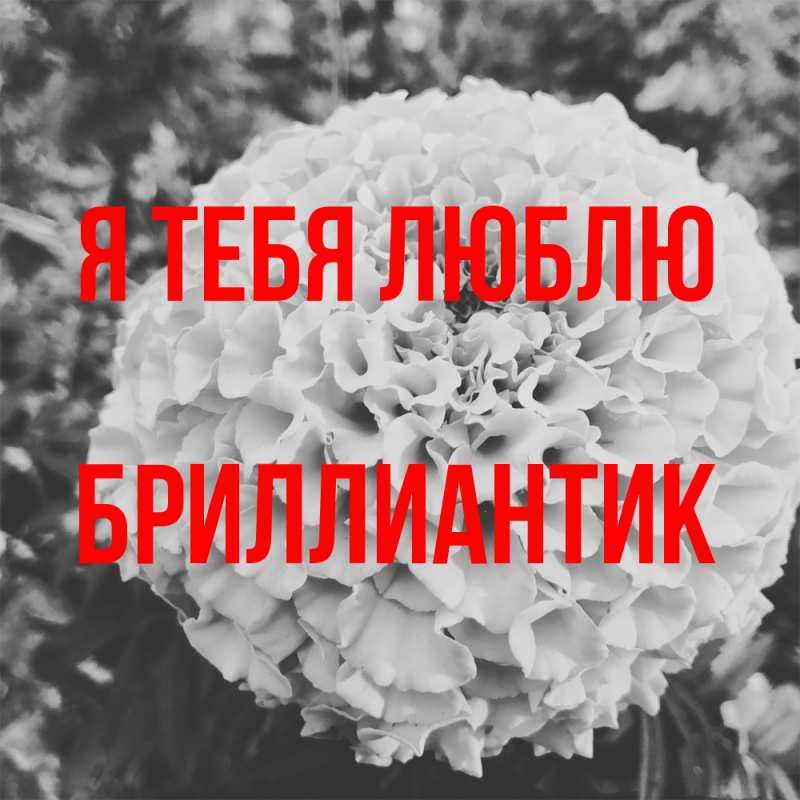 Картинка Я тебя люблю, Бриллиантик