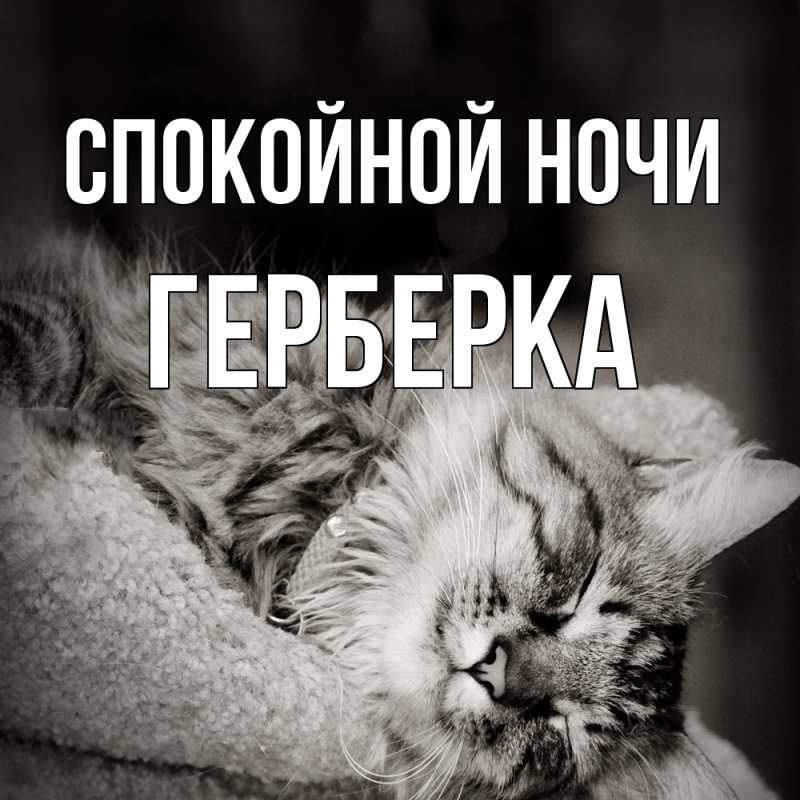 Картинка Спокойной ночи, Герберка