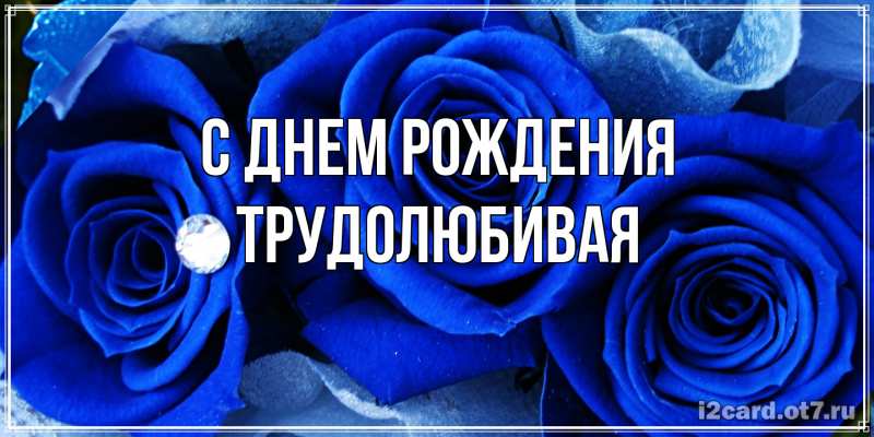 Картинка С днем рождения, Тpудолюбивая