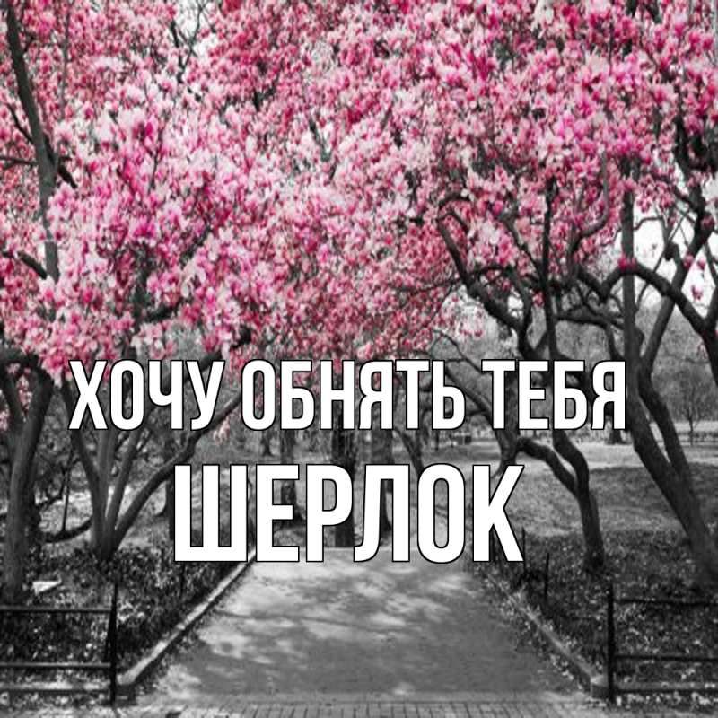 Картинка Хочу обнять тебя, Шерлок