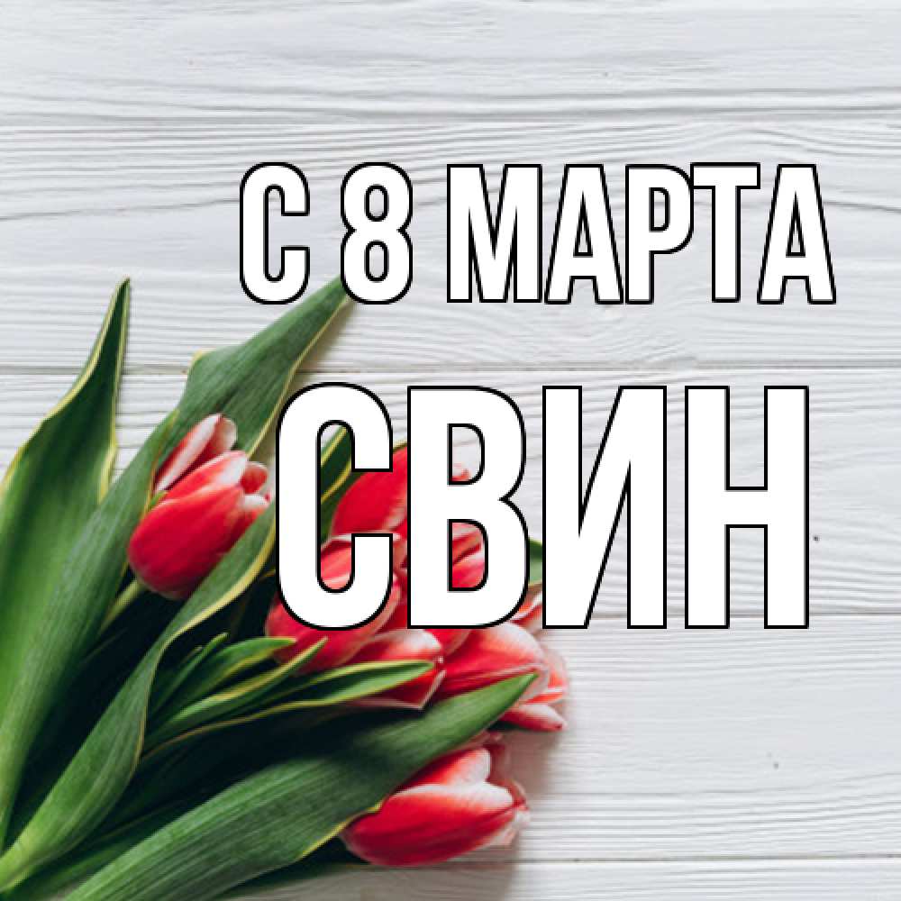 Открытка на каждый день с именем, Свин C 8 МАРТА весна 2 Прикольная открытка с пожеланием онлайн скачать бесплатно 