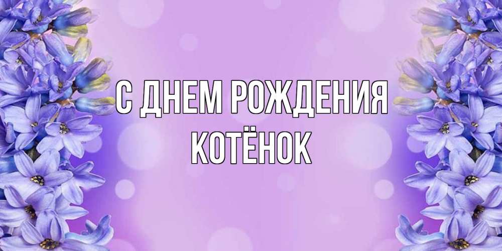 Открытка на каждый день с именем, Котёнок С днем рождения открытка с сиренью Прикольная открытка с пожеланием онлайн скачать бесплатно 