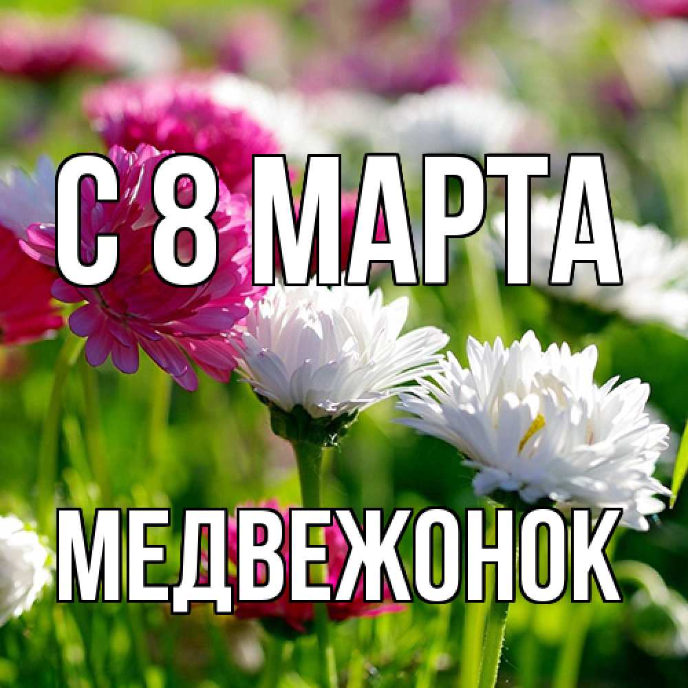 Открытка на каждый день с именем, медвежонок C 8 МАРТА международный женский день 1 Прикольная открытка с пожеланием онлайн скачать бесплатно 