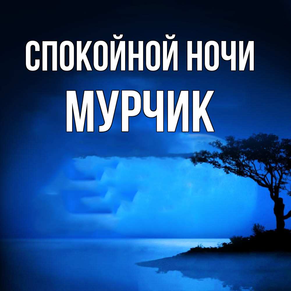 Открытка на каждый день с именем, Мурчик Спокойной ночи ночное побережье Прикольная открытка с пожеланием онлайн скачать бесплатно 