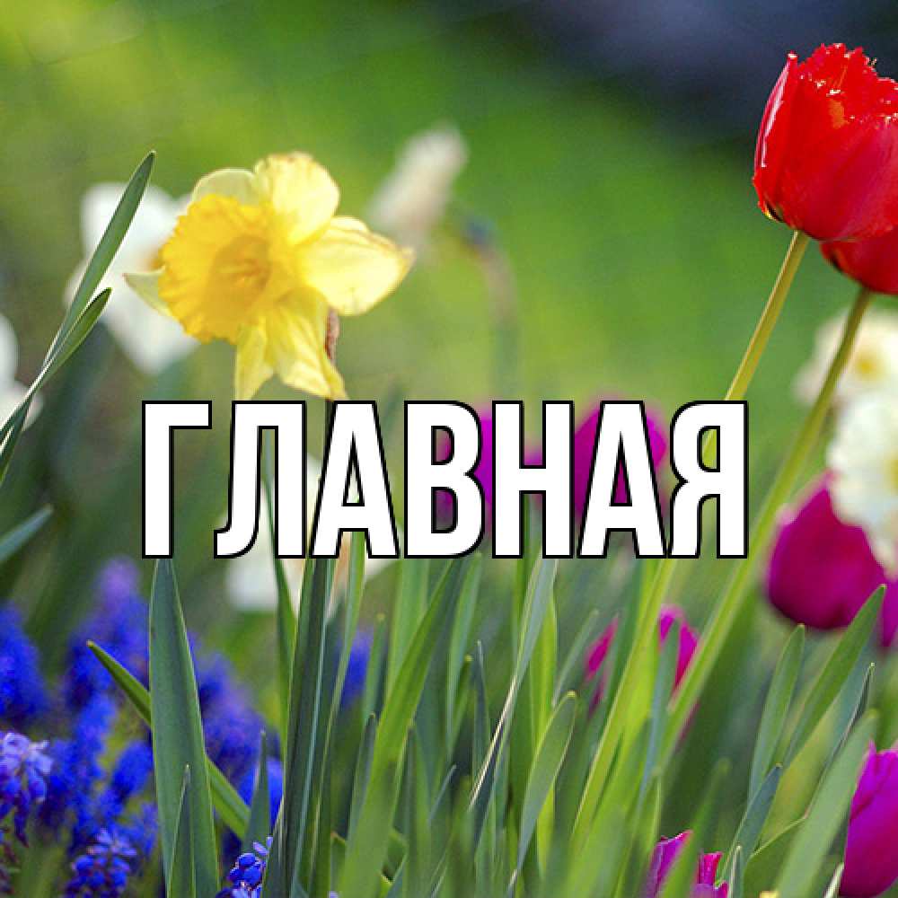 Открытка на каждый день с именем, Анна Главная международный женский день 3 Прикольная открытка с пожеланием онлайн скачать бесплатно 