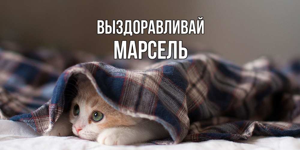 Открытка на каждый день с именем, Марсель Выздоравливай не болейте с котиком Прикольная открытка с пожеланием онлайн скачать бесплатно 