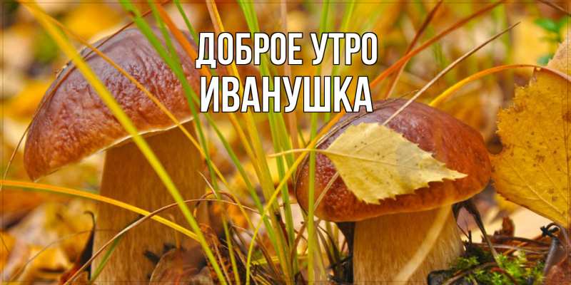 Картинка Доброе утро, Иванушка