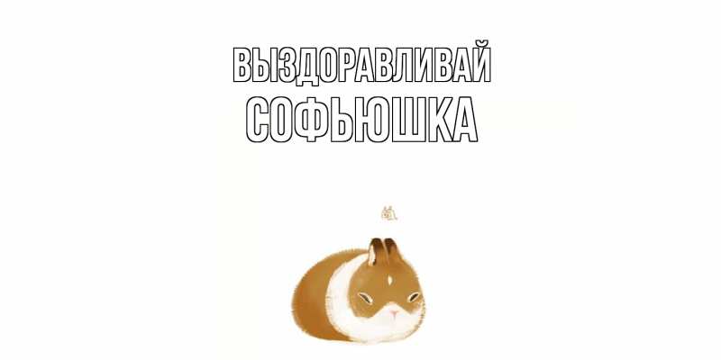 Картинка Выздоравливай, Софьюшка