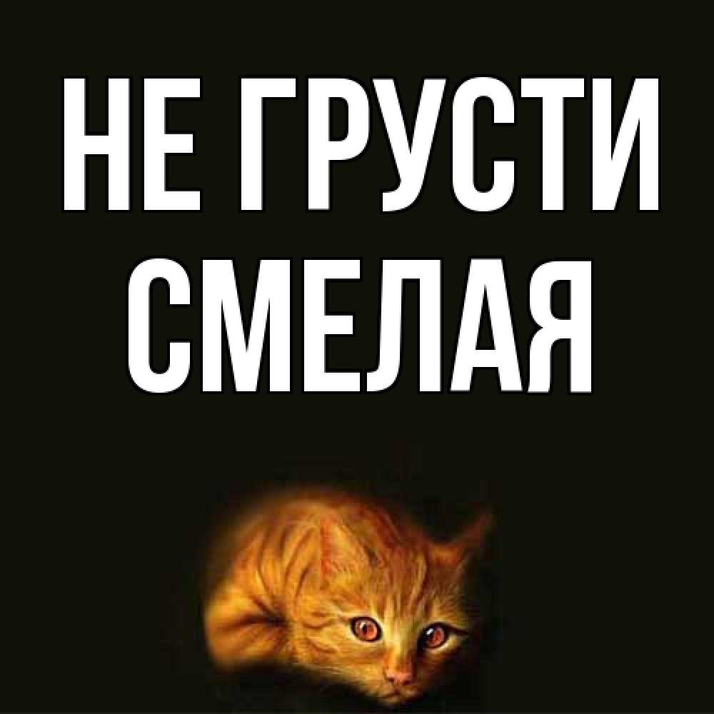Открытка на каждый день с именем, Смелая Не грусти лежащий кот в темноте Прикольная открытка с пожеланием онлайн скачать бесплатно 