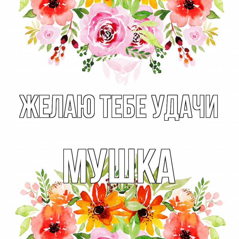 Картинка Желаю тебе удачи, мушка