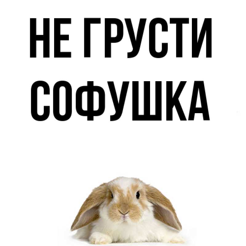 Картинка Не грусти, Софушка