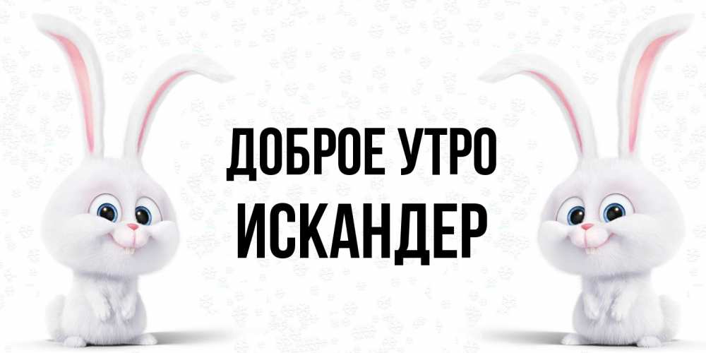 Открытка на каждый день с именем, Искандер Доброе утро кролики с длинными ушками Прикольная открытка с пожеланием онлайн скачать бесплатно 