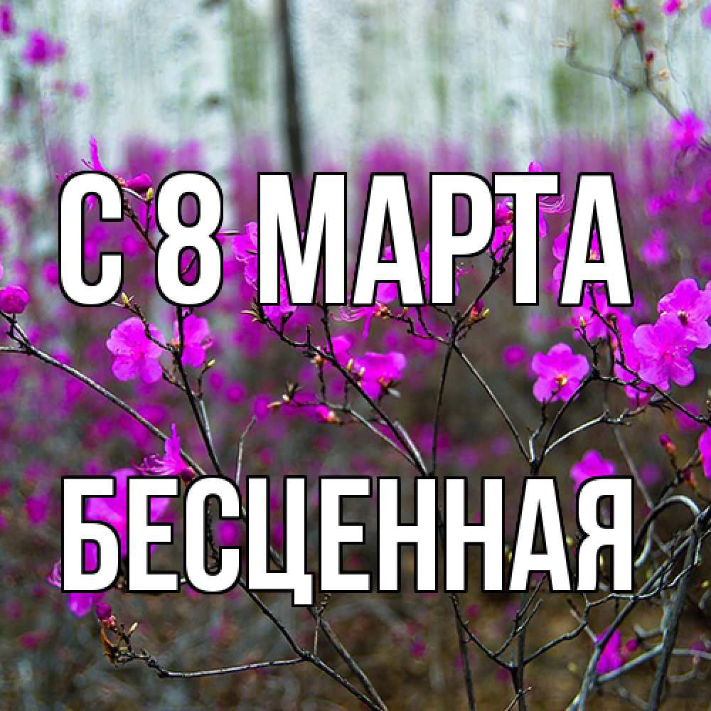 Открытка на каждый день с именем, Бесценная C 8 МАРТА дикие цветы Прикольная открытка с пожеланием онлайн скачать бесплатно 