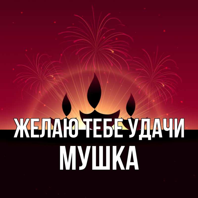 Картинка Желаю тебе удачи, мушка