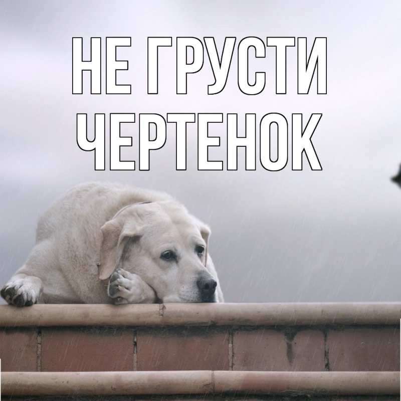 Картинка Не грусти, чеpтенок