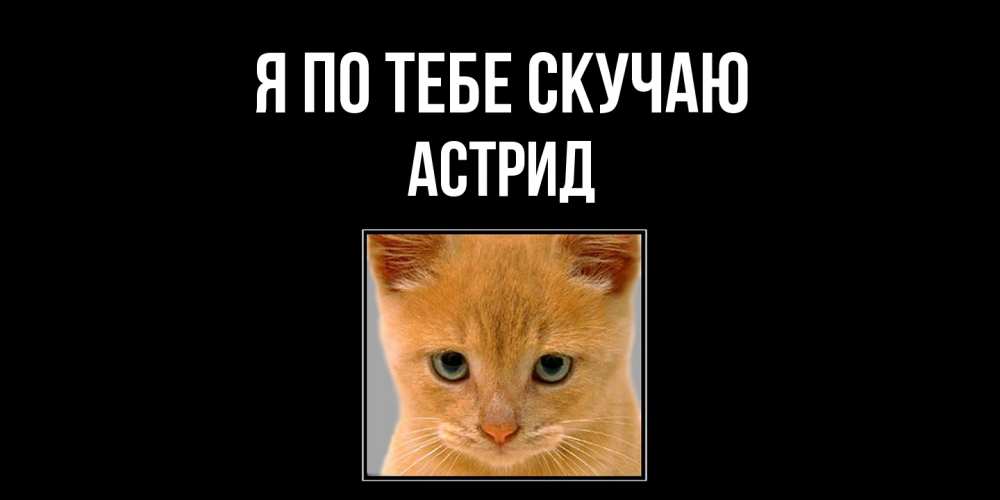 Открытка на каждый день с именем, Астрид Я по тебе скучаю открытки рыжий котенок скучает по тебе Прикольная открытка с пожеланием онлайн скачать бесплатно 