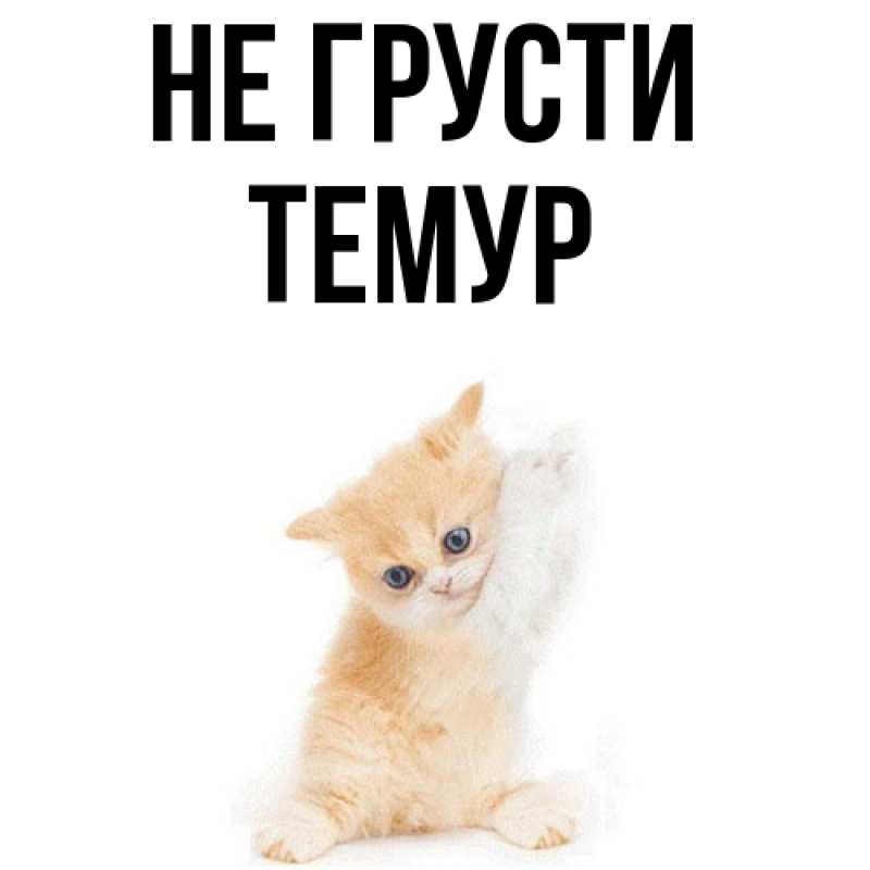 Картинка Не грусти, Темур