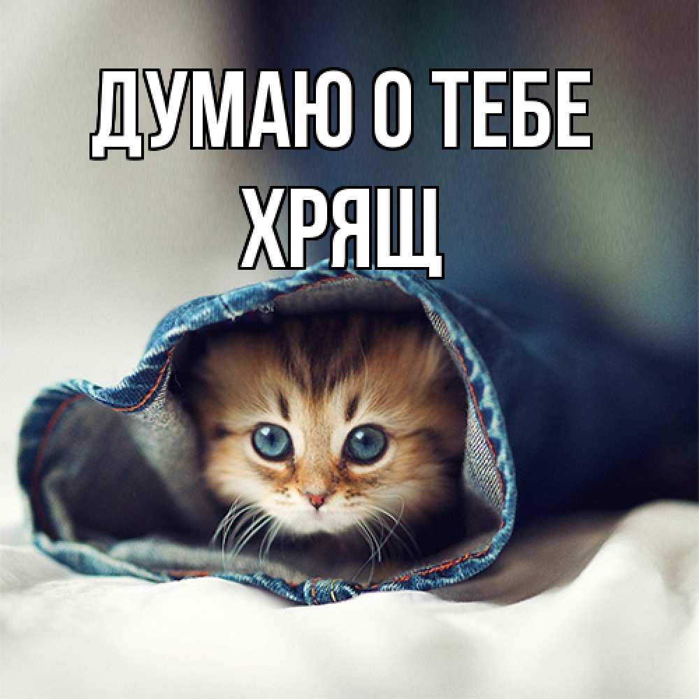 Открытка на каждый день с именем, Хрящ Думаю о тебе мне без тебя плохо Прикольная открытка с пожеланием онлайн скачать бесплатно 