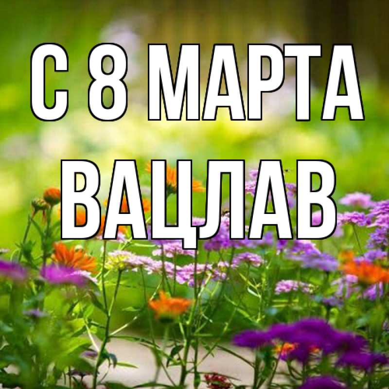 Картинка C 8 МАРТА, Вацлав