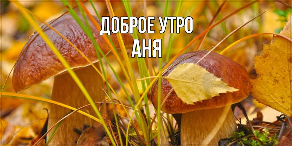 Открытка на каждый день с именем, Аня Доброе утро осенние грибы Прикольная открытка с пожеланием онлайн скачать бесплатно 