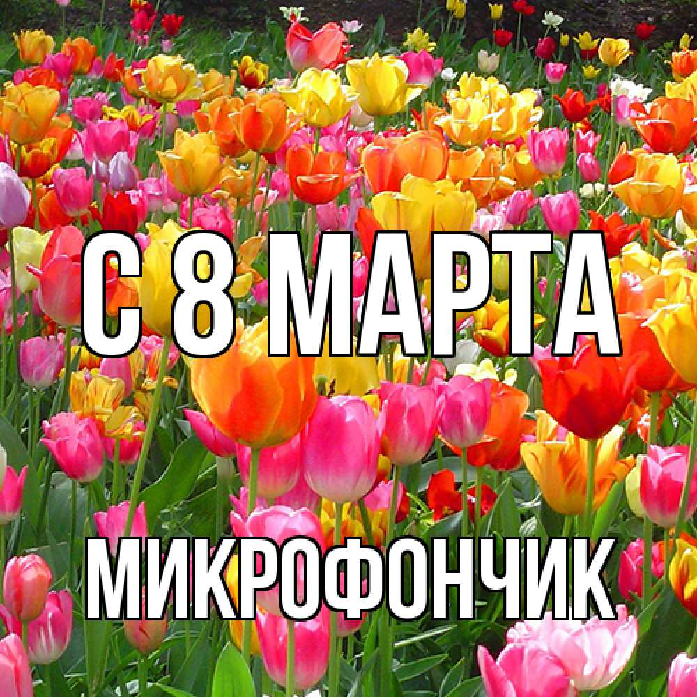 Открытка на каждый день с именем, Микрофончик C 8 МАРТА на международный женский день Прикольная открытка с пожеланием онлайн скачать бесплатно 