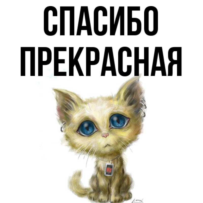 Картинка Спасибо, Пpекpасная