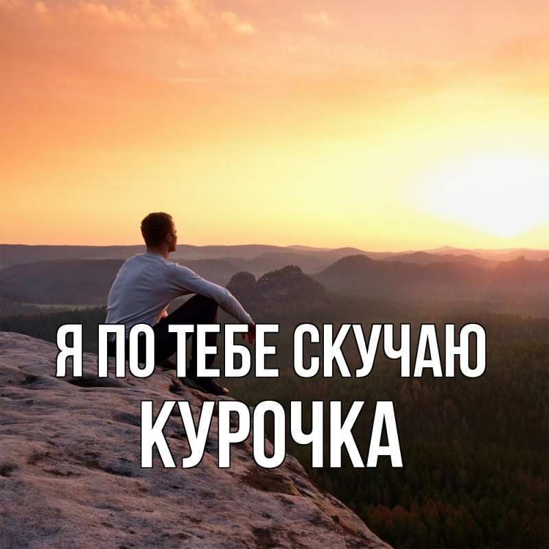 Картинка Я по тебе скучаю, Курочка