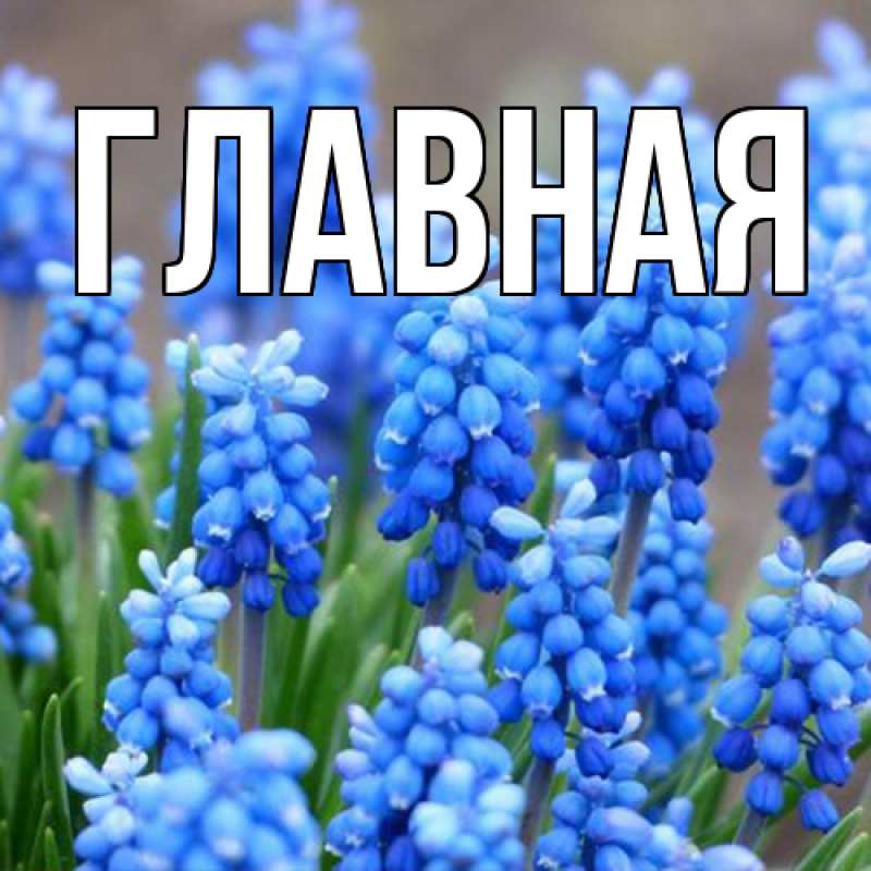 Картинка  с именем , Анна