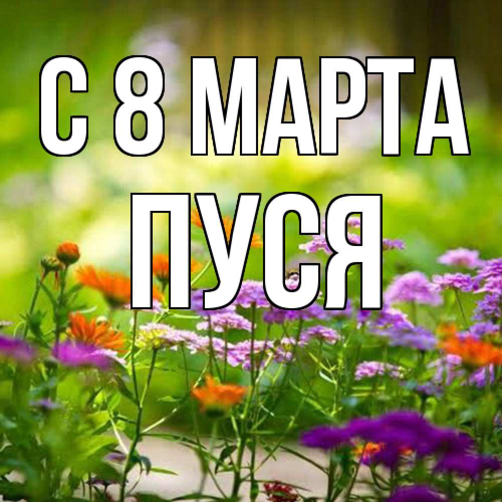 Открытка на каждый день с именем, Пуся C 8 МАРТА цветы Прикольная открытка с пожеланием онлайн скачать бесплатно 