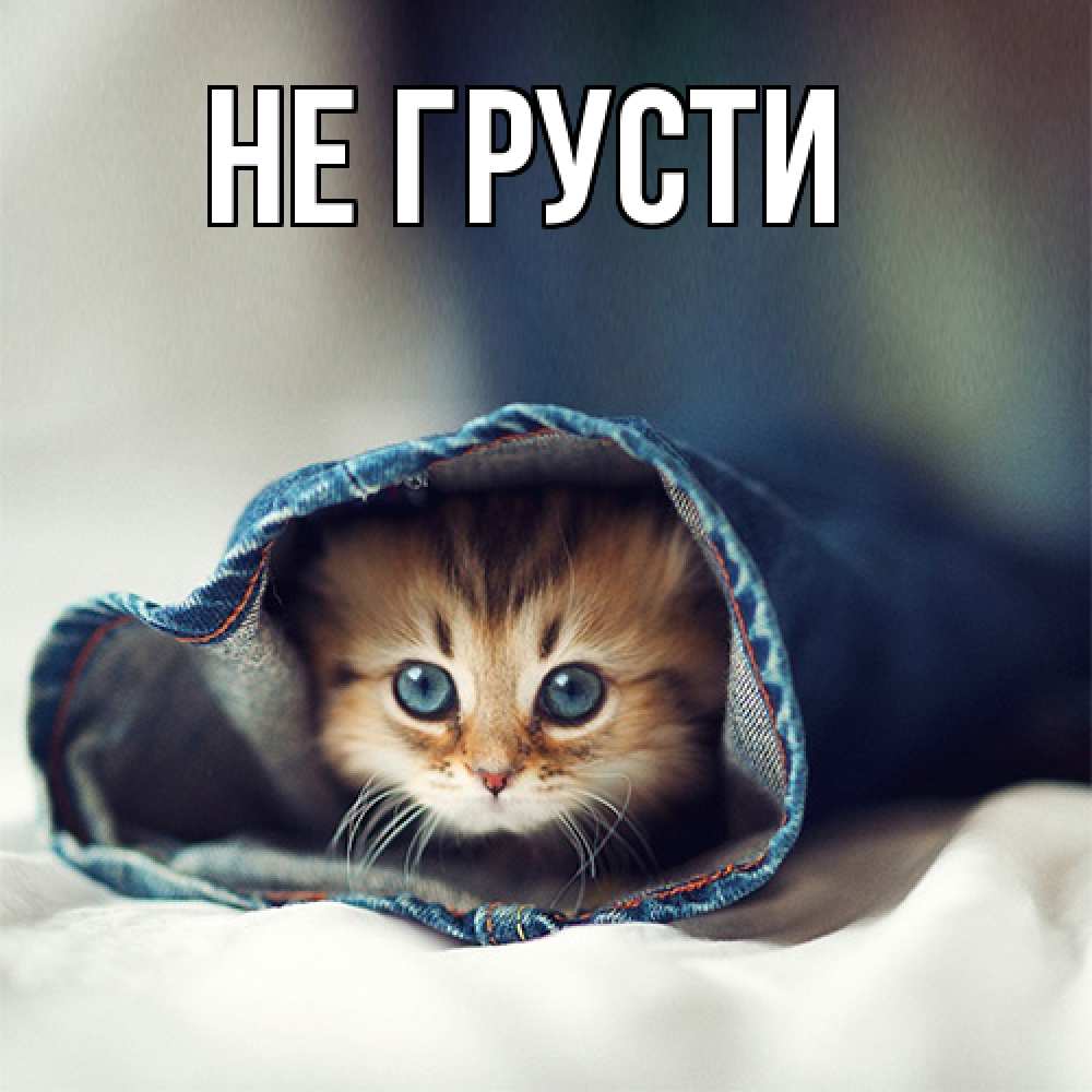 Открытка на каждый день с именем, выберите-имя Не грусти рыжик котик Прикольная открытка с пожеланием онлайн скачать бесплатно 