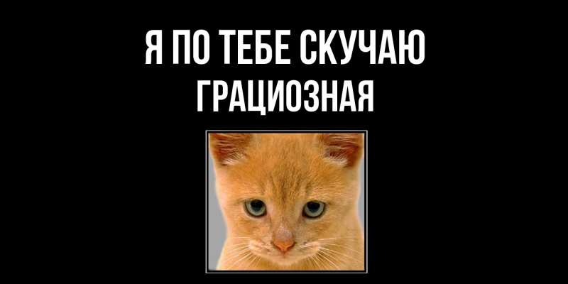 Картинка Я по тебе скучаю, грациозная