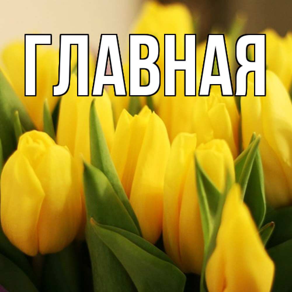 Открытка на каждый день с именем, настя Главная цветы Прикольная открытка с пожеланием онлайн скачать бесплатно 