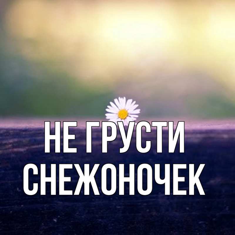 Картинка Не грусти, Снежоночек