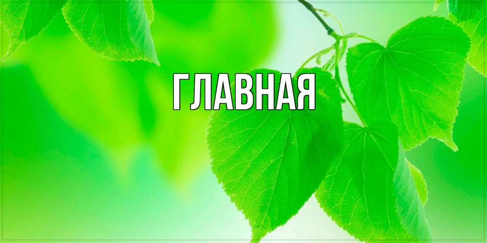 Открытка на каждый день с именем, настя Главная доброе утро с березовыми листьями Прикольная открытка с пожеланием онлайн скачать бесплатно 