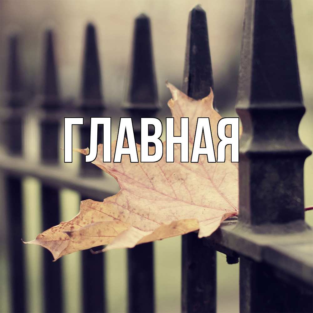 Открытка на каждый день с именем, настя Главная очень скучно Прикольная открытка с пожеланием онлайн скачать бесплатно 