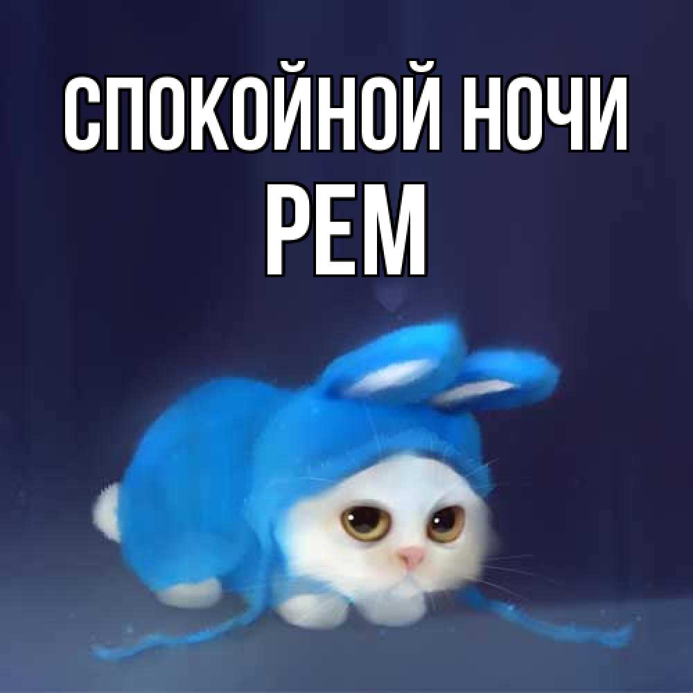 Открытка на каждый день с именем, Рем Спокойной ночи кот в голубом костюме кролика с ушками Прикольная открытка с пожеланием онлайн скачать бесплатно 
