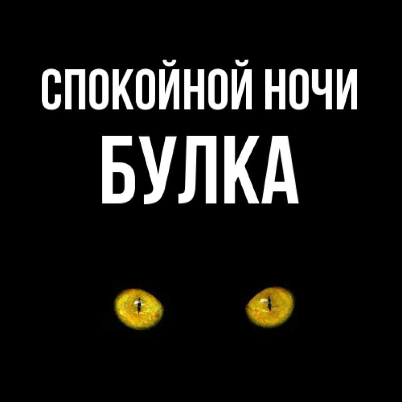 Картинка Спокойной ночи, Булка
