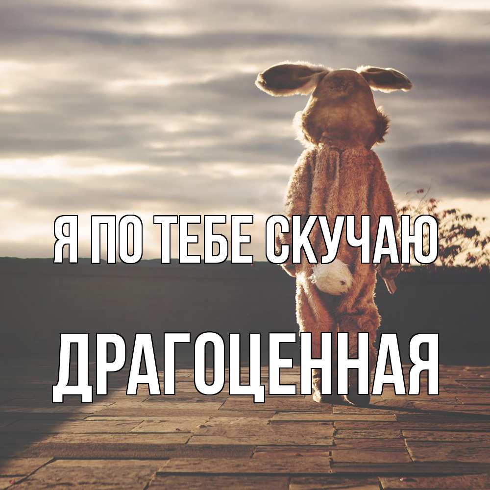 Открытка на каждый день с именем, Драгоценная Я по тебе скучаю даже в костюме зайца Прикольная открытка с пожеланием онлайн скачать бесплатно 