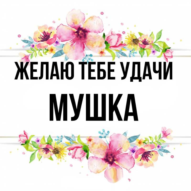 Картинка Желаю тебе удачи, мушка