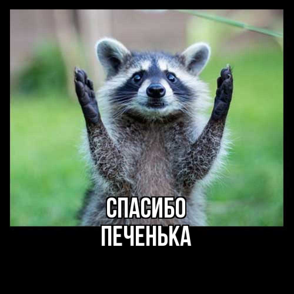 Открытка на каждый день с именем, Печенька Спасибо милые животные Прикольная открытка с пожеланием онлайн скачать бесплатно 