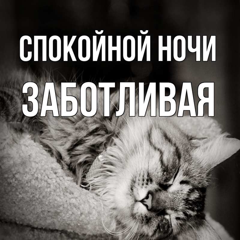 Картинка Спокойной ночи, Заботливая