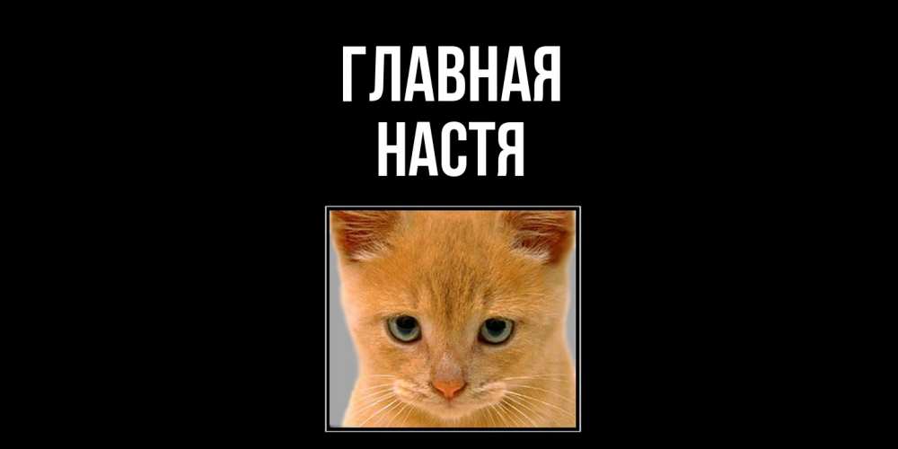 Открытка на каждый день с именем, настя Главная рыжий грустный кот просит прощения Прикольная открытка с пожеланием онлайн скачать бесплатно 