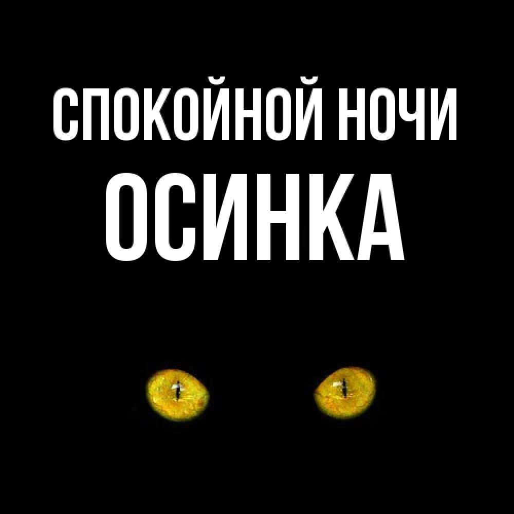 Открытка на каждый день с именем, осинка Спокойной ночи сладких снов бесстрашный мой дружочек Прикольная открытка с пожеланием онлайн скачать бесплатно 